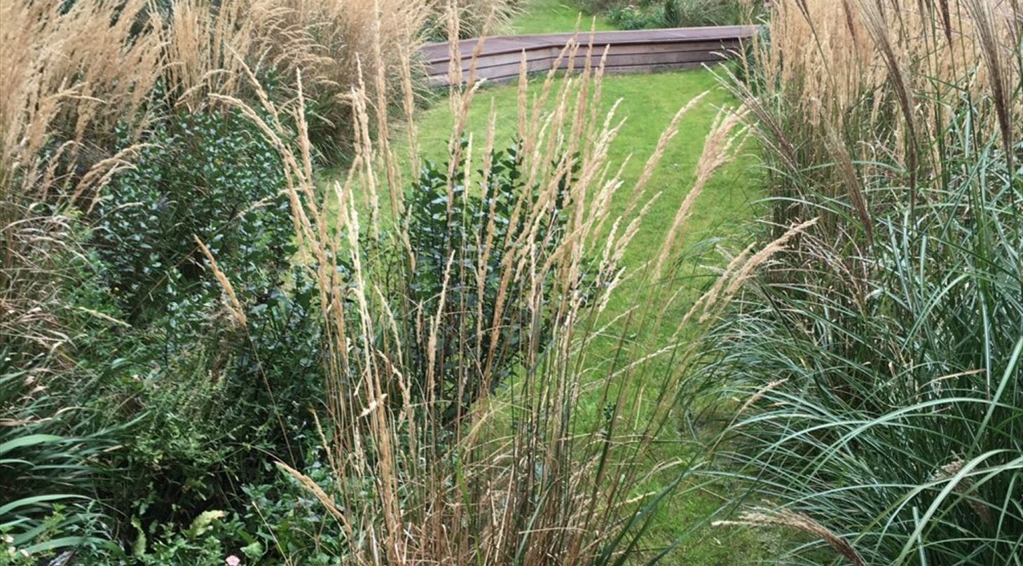 R�dgivning om Lokal Afledning af Regn LAR.JPG